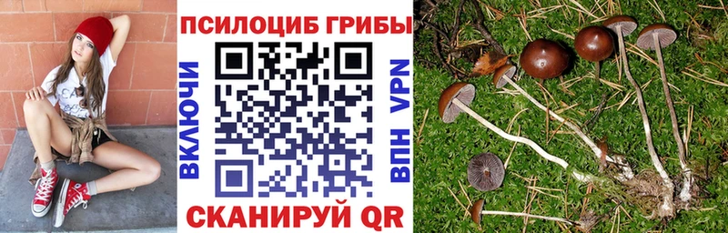 OMG онион  Среднеколымск  Галлюциногенные грибы мицелий 